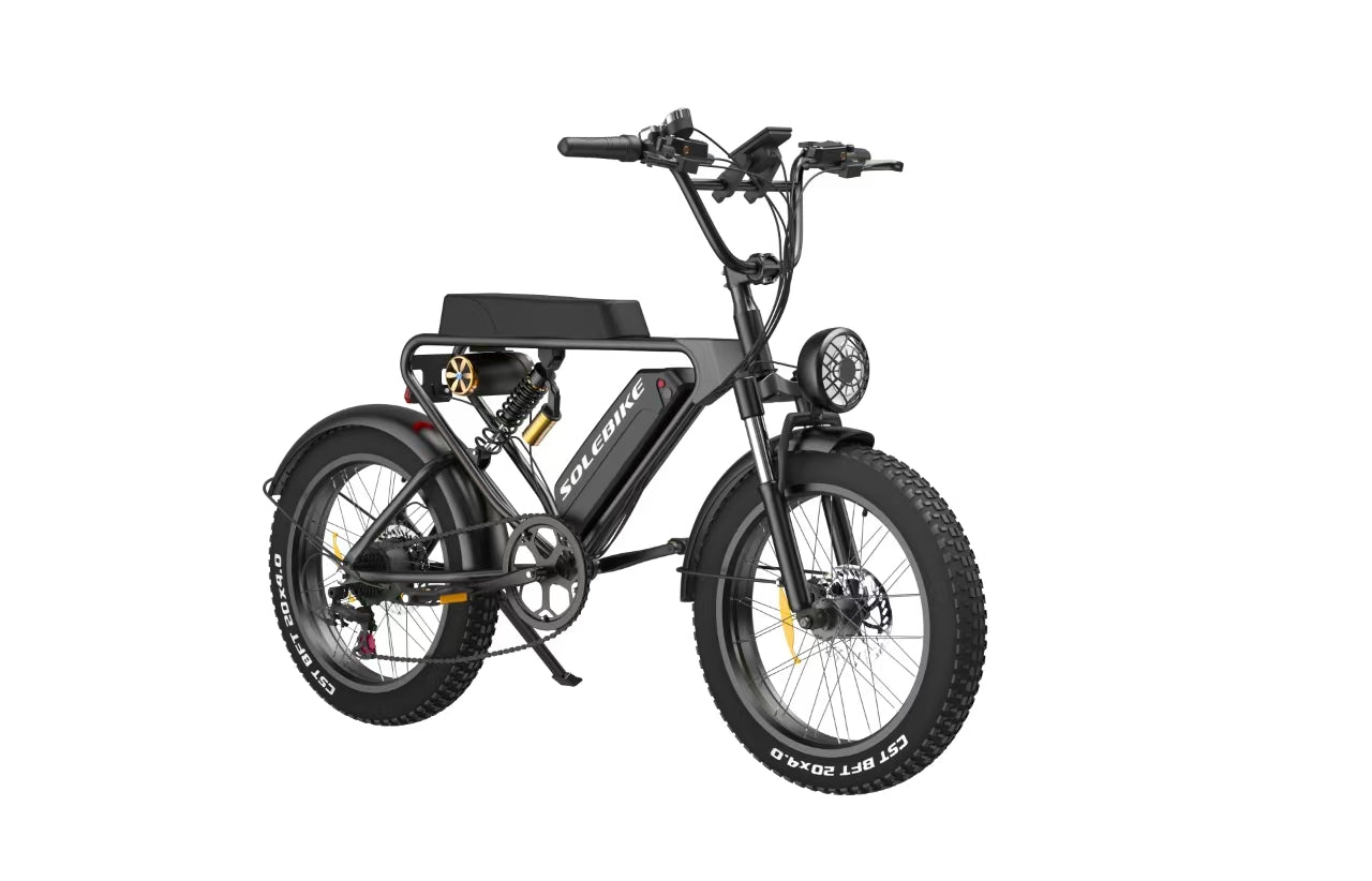 Onkyo- SOLEBIKE  Retro  Style E-bike  SR22  Max