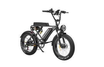 Onkyo- SOLEBIKE  Retro  Style E-bike  SR22  Max