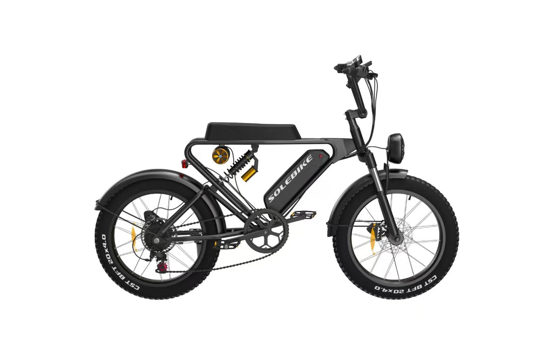 Onkyo- SOLEBIKE  Retro  Style E-bike  SR22  Max