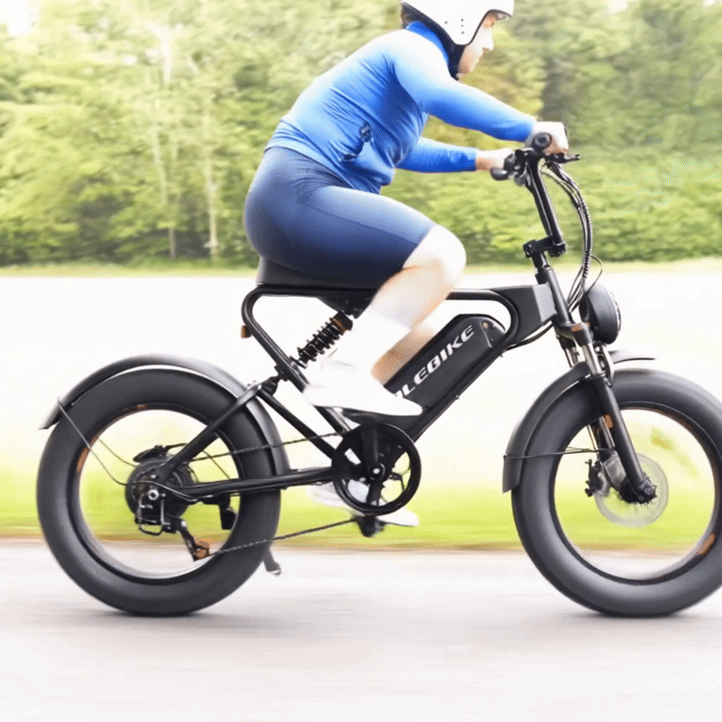 solebike E-bike  2 year warranty 