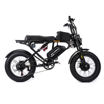 Onkyo- SOLEBIKE  Retro  Style E-bike  SR22  Max